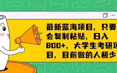 最新蓝海项目，只要会复制粘贴，日入800 ，大学生考研项目，目前做的人极少