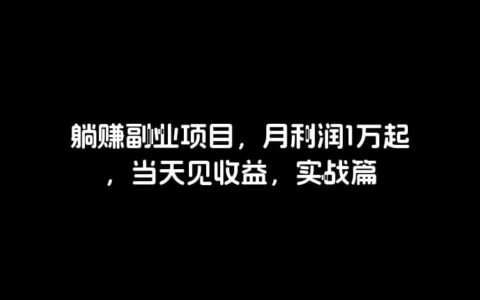 躺赚副业项目，月利润1万起，当天见收益，实战篇