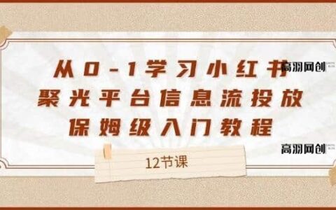 （12020期）从0-1学习小红书 聚光平台信息流投放，保姆级入门教程（12节课）