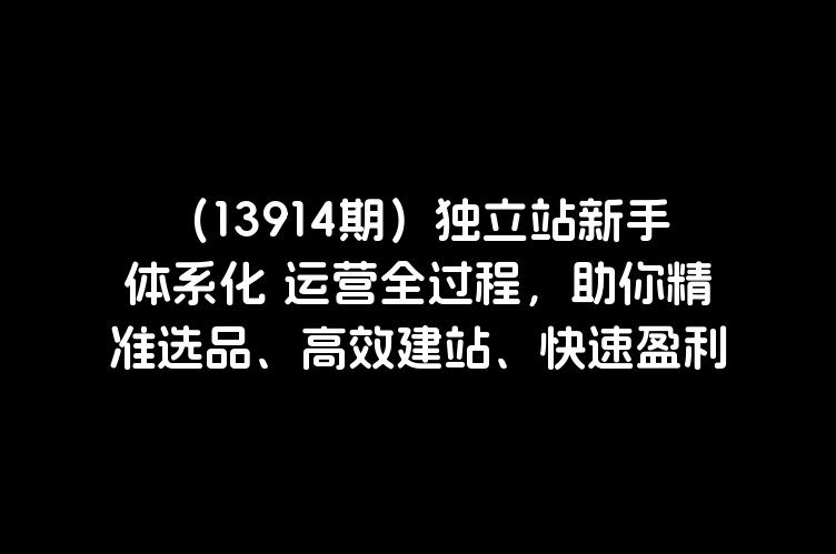 （13914期）独立站新手体系化 运营全过程，助你精准选品、高效建站、快速盈利