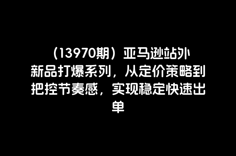 （13970期）亚马逊站外新品打爆系列，从定价策略到把控节奏感，实现稳定快速出单