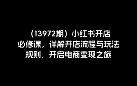 （13972期）小红书开店必修课，详解开店流程与玩法规则，开启电商变现之旅