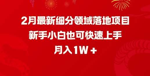 2月最新细分领域落地项目，新手小白也可快速上手，月入1W