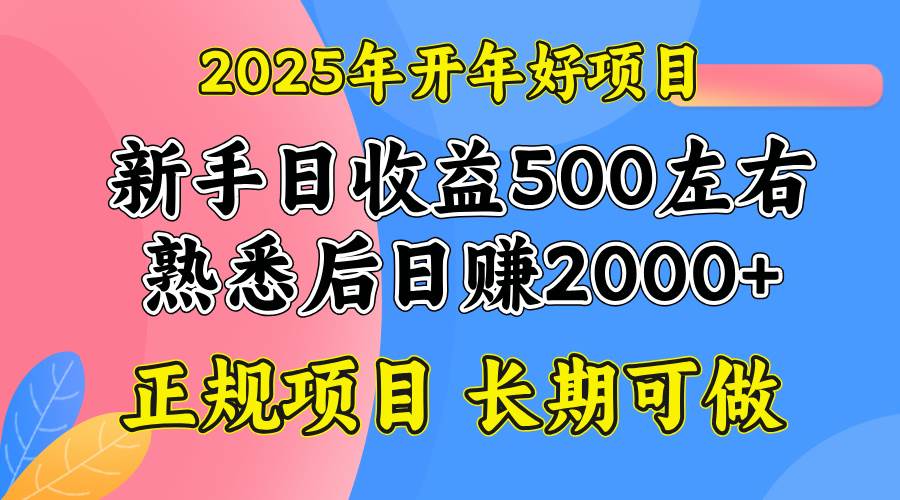 （14076期）2025开年好项目，单号日收益2000左右